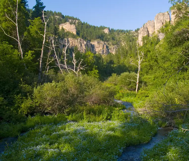Rapid City: Devils Tower & Spearfish Canyon Private Tour