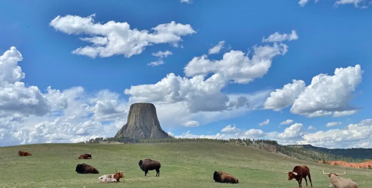 From Rapid City: Devils Tower National Monument Day Trip