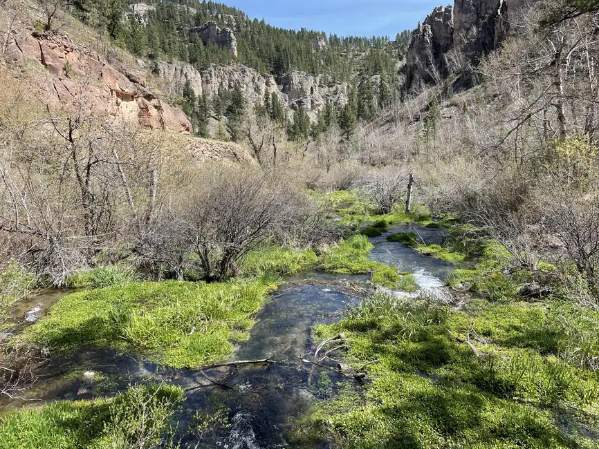 Rapid City: Devils Tower & Spearfish Canyon Private Tour