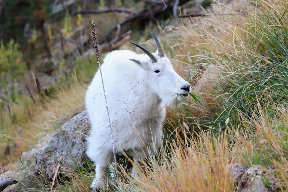 Rapid City: Devils Tower & Spearfish Canyon Private Tour