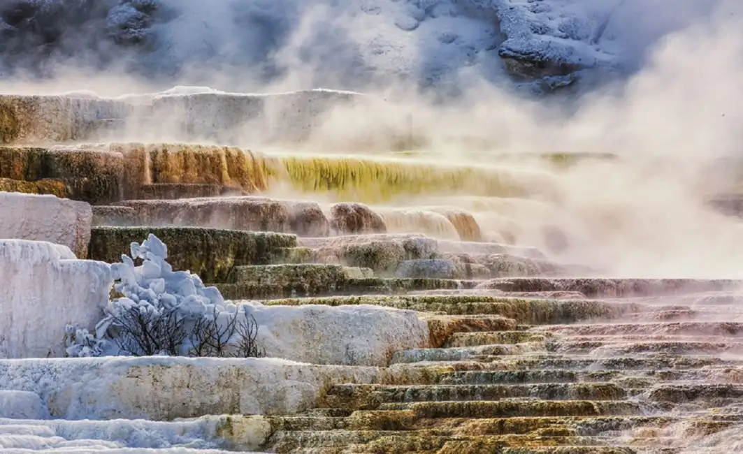 Salt Lake City: Yellowstone National Park 6-Day Tour